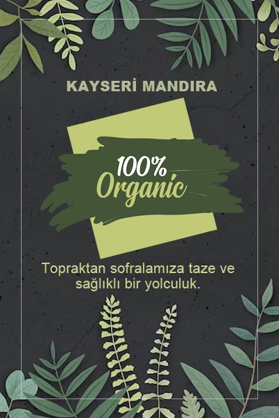 KAYSERİ MANDIRA - Zeytin, Peynir, Bal ve Şarküteri ürünleri - ANKARA
